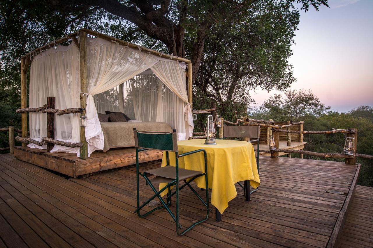 Garonga Safari Βίλα Makalali Game Reserve Εξωτερικό φωτογραφία