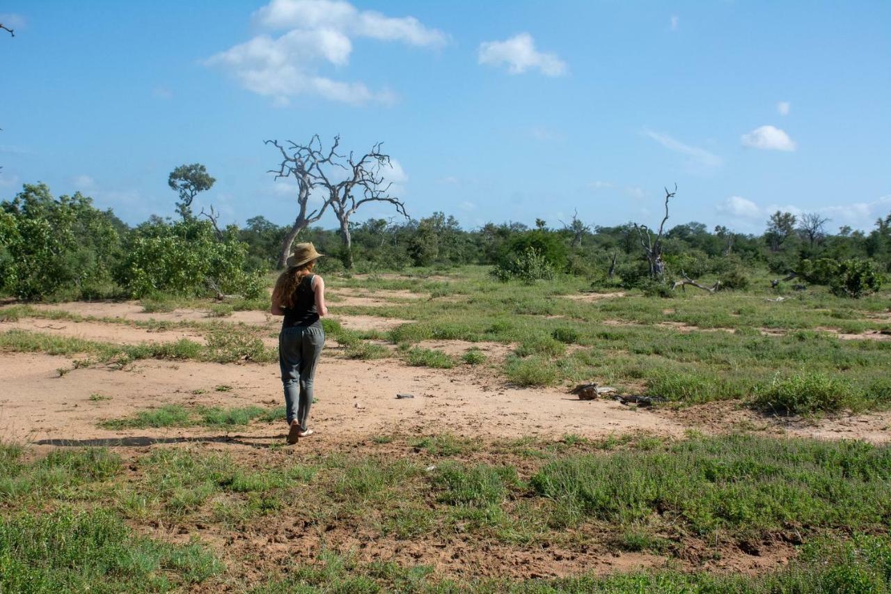 Garonga Safari Βίλα Makalali Game Reserve Εξωτερικό φωτογραφία